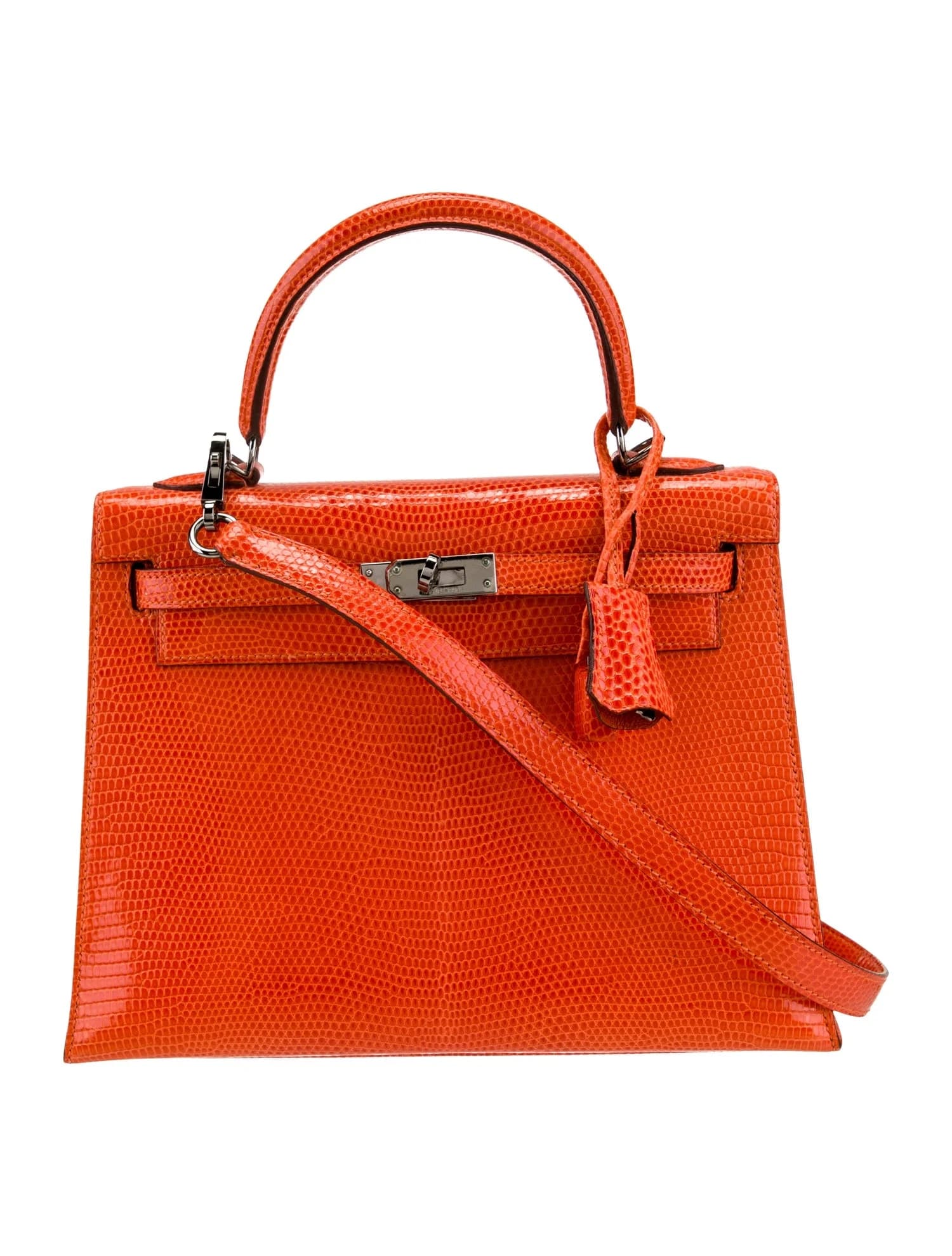 Kelly Varanus Niloticus Lizard Orange Ruthenium